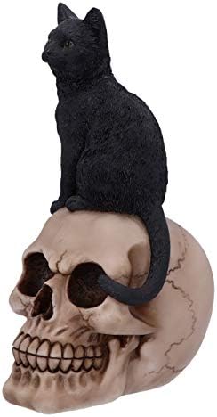Familiar Fate 24.3cm Black Witches Cat and Skull Figurine
