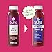 Suja Organic Gut Health Elderberry Ginger Cold Pressed Juice Drink, 12 fl oz Bottle