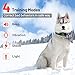 Dog Training Collar with Remote 3300ft Range Waterproof Rechargeable Electric Collar for Small Medium Large Dogs
