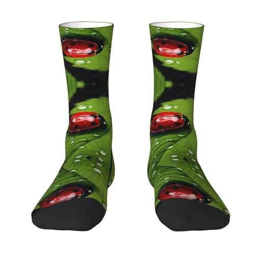 Tnnutp Calcetines vintage de moda hojas y mariquitas, calcetines suaves y cómodos, calcetines de botas de regalo para hombres y mujeres, calcetines para correr, blanco, Talla única