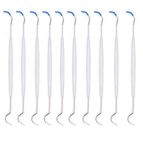 Haishell 10 PCS Disposable Double Hook Tooth Dental Explorer Dentalist Probe Dentist Tool