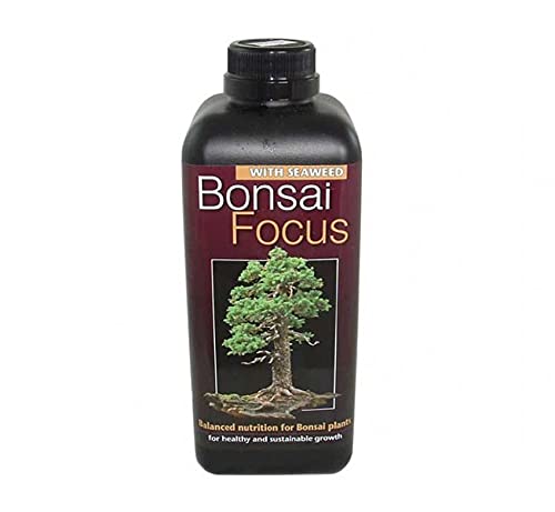Bonsai Focus 300ml - Liquid Bonsai Feed