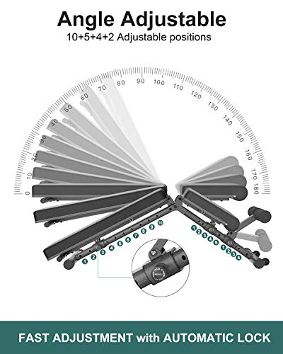 BARWING Adjustable Weight Bench- 800 lbs Folding Full Body Workout Bench with Dragon Flag, Automatic Lock Multi-Purpose Incline/Flat/Decline Bench for Home Gym Strength Training Black