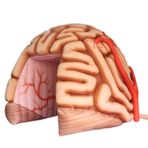 Outdoor Inflatable Brain Tunnel Tent Medical Exhibits...