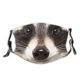 4.Personalisiertes Modemuster pumpkin pie Niedlicher lustiger Waschbär personalisierter Mundschutz wiederverwendbarer Mundschutz (geben Sie fünf Mundschutz)