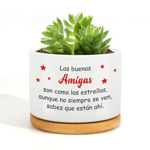RRIGETEN Regalo Amiga Navidad Regalo Amiga Cumpleaños Regalos Originales para Amigas Macetas Decorativas Interior Regalo Amigas Originales Regalo para Amiga Regalos Amigas Regalo Mejor Amiga RRIGETEN Regalo Amiga Navidad Regalo Amiga Cumpleaños Regalos Originales para Amigas Macetas Decorativas Interior Regalo Amigas Originales Regalo para Amiga Regalos Amigas Regalo Mejor Amiga