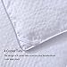 Homelike Moment Comforters Queen Size - White Duvet Insert Down Alternative Bed Queen Comforter, Lightweight Bedding Comforter Full Size Quilted Soft All Season with Coner Tabs White Square Embossed