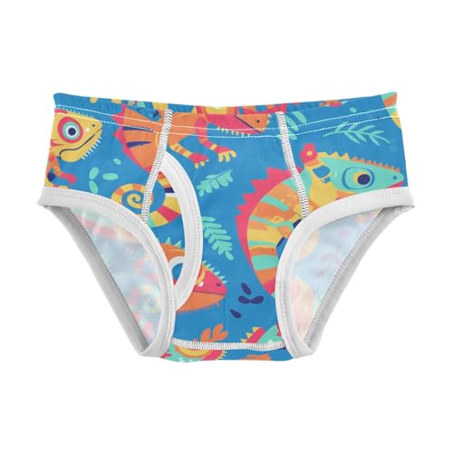 KLL Colorful Pattern with Cute Chameleons Baby Boys Comfort Briefs Cute Children Undies