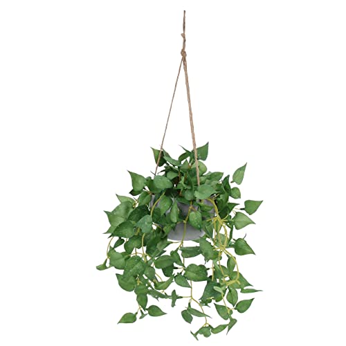 HOMSFOU Plantas colgantes artificiales con cestas de hiedra falsa con hojas falsas en maceta, vegetación en maceta de seda, para jardín, patio, fiesta, decoración para colgar en la pared
