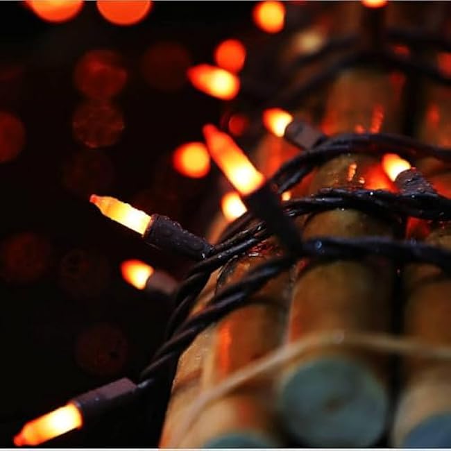 Orange Halloween Light, 100 Count 20FT String Light,120V UL Certified Orange String Lights, Plug in Brown Wire Fall Lights Waterproof for Spooky Thanksgiving Party Decor