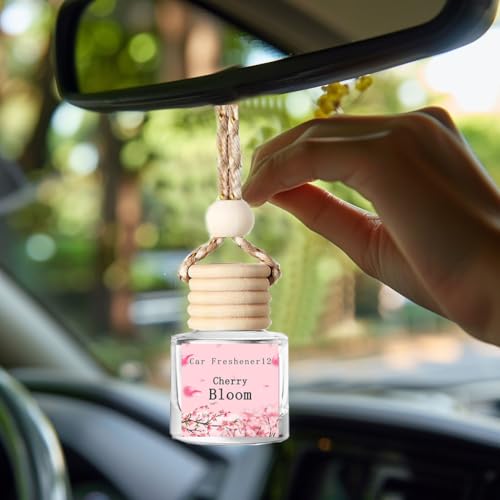 Image of Hanging Car Air Freshener Diffuser, Long Lasting Essential Oil Diffuser, Premium Hanging Scent Air Freshener for Car Interior, Odor Eliminator to Refresh Driving Space and Create Aromatic Car Oasis