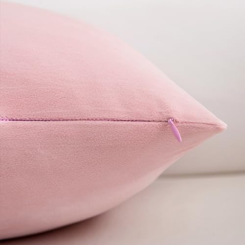 Herayli HPC-T2405V2 Velvet Decorative Throw Pillow Covers thumb #2