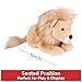 GUND Regis Lion Plush, Lion Stuffed Animal for Ages 1 and Up, Tan/Gold, 12