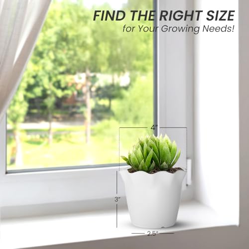 Image of YUCCABE ITALIA SHERA 4 Inch Plastic Flower Pot 12 Piece Set of Unbreakable Round Shape Planter for Home Garden Seedling, Indoor and Outdoor (White)