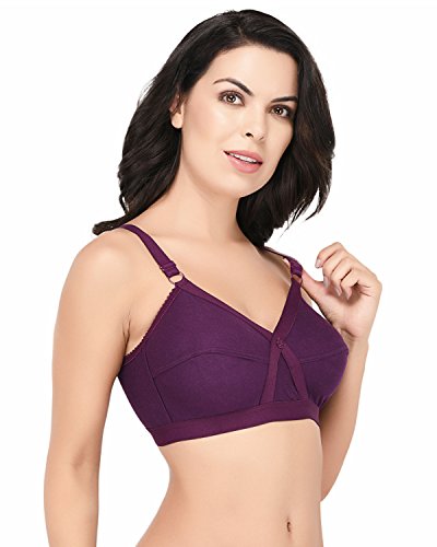 Image of Elina Women's Full Coverage Horsery D-Cup Bra.(Set of 1)