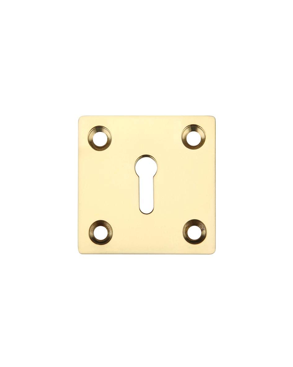 Zoo Hardware Square Standard Profile Escutcheon 50Mm - Polished Brass