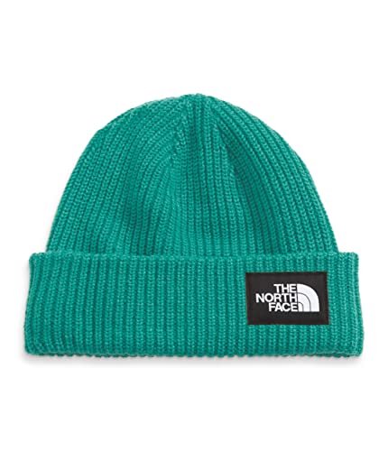 Image of The North Face Salty Dog Beanie - Wasabi Regular