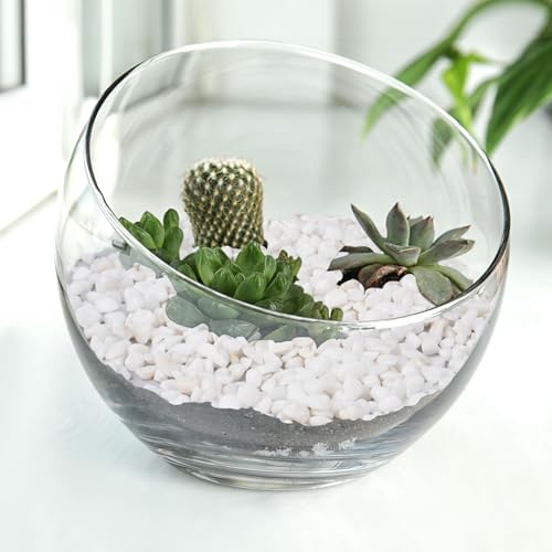 Image of 5 lbs White Aquarium Gravel, 1 /5 Inch White Rocks for Plants, Small Pebbles for Vases, Succulents, Bamboo, Natural Decorative Pebbles for Plants Drainage, Cactus, Crafts