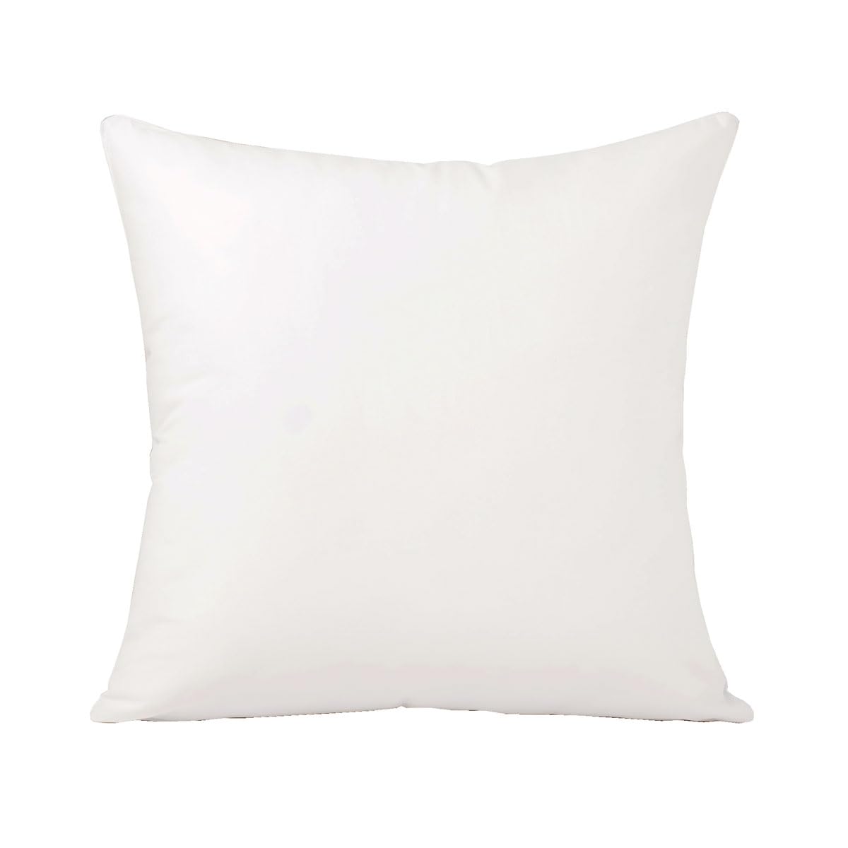 TOISON D'OR - Oreiller Anti-acariens 65x65 cm - Soutien Medium (Dos) - Fibre Creuse Siliconée - Gonflant & Sommeil Sain - Enveloppe 100% Coton - Finition Biais - Lavable 40°C