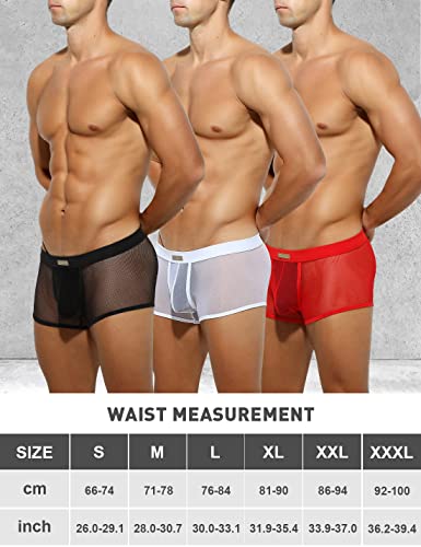 Arjen Kroos Men Sexy Mesh Underwear Low Rise Stretch Breathable Boxer Briefs4