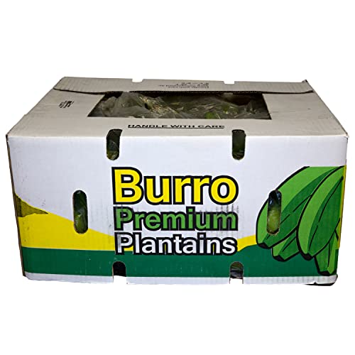 Buying Guide Burro Plantain (Shipping Included) (7 lbs)