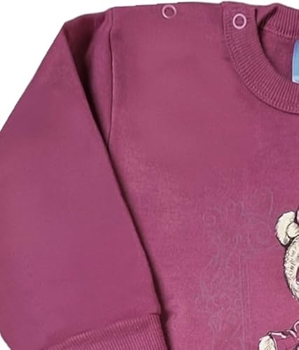 Malwee, Blusão Feminino Em Moletom Flanelado Urso Nº 1 Ao 3 Malwee Tamanho:1;Cor:Fúcsia