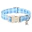 Blue Gingham
