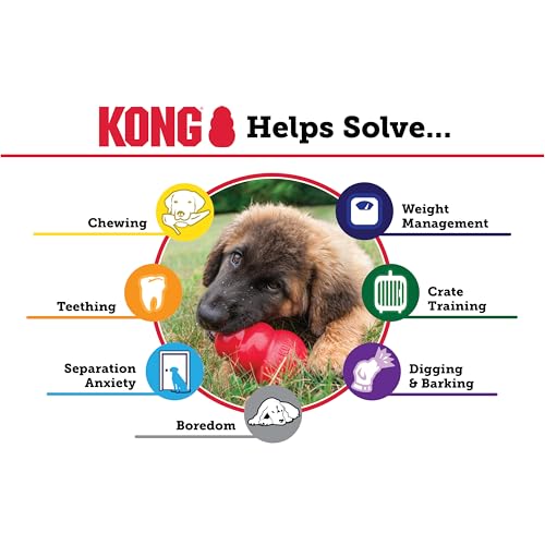 image for KONG Extreme Dog Toy - Fetch & Chew Toy - Treat-Filling Capabilities &