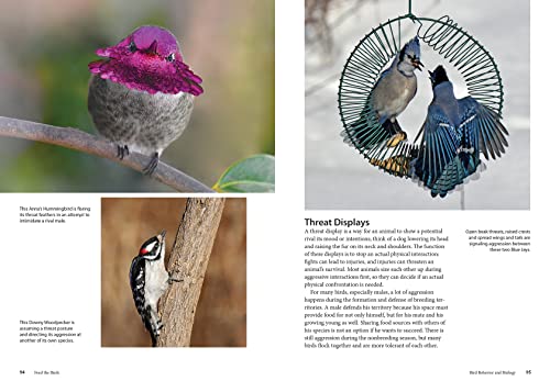 Feed the Birds: Attract and Identify 196 Common North American Birds - Image 10