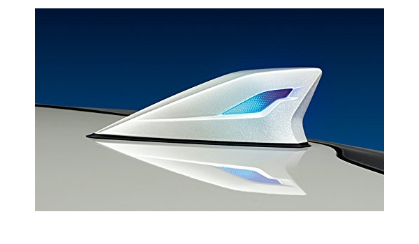 PRIUSALPHA MODELLISTA SELECTION LEDトップノット