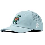 Branded Bills Officially Licensed x Florida Gators Sky Blue Performance Dad Hat Albert The Gator