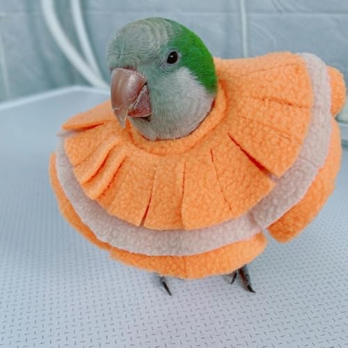 Image of RRRIOT Adjustable Parrot Cone Collar, Safe and Practical Cotton Collar to Prevent Bites and Licking Wounds, to Help heal (2M)