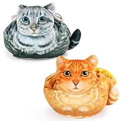 orange and old grey cat