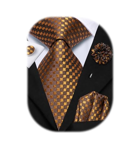 Image of Hi-Tie Mens Paisley Floral Striped Ties Set Silk Necktie and Lapel Pin for Men Pocket Square Cufflinks Set Business Wedding