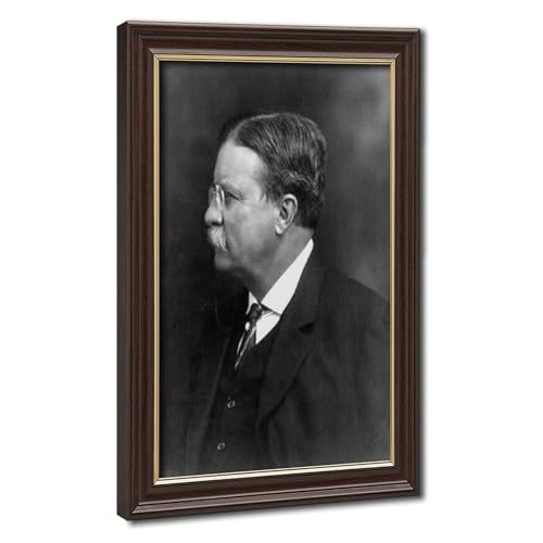 Impression sur toile Theodore Roosevelt cadre suspendu 40x60 cm
