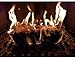 Enviro-Log KFC Fire Log - Limited-Edition 11 Herbs & Spices Fire Starter Log 5 Lbs