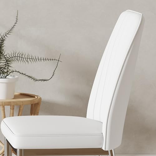 Luxury Leather Dining Chair Set