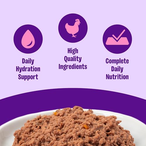 Wellness Complete Health Pate Adult Canned Wet Cat Food, Natural, Protein Rich, Grain Free, Chicken and Herring Dinner Recipe, 3 oz, Pack of 24 Cans - image 2