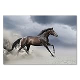 Postereck - 2913 - Pferd, Tier Hengst Rennen Staub Freiheit 