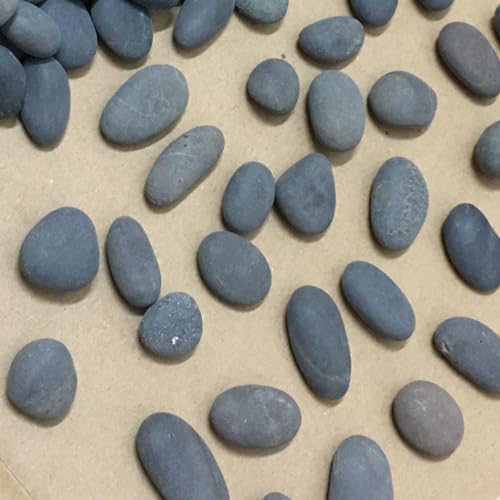 ruidinaways 900g Kiesel Natur Kieselsteine Dekorative Steine ​​Naturkiesel Kies für Aquarium, Garten, Deko & Pflanzen,Ungleichmäßige Bachsteine Steinschotter für Landschaftsgestaltung & DIY-Projekte