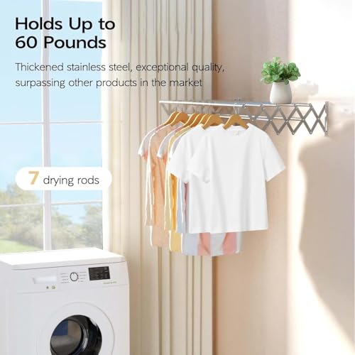 Image of 24-Inch Stainless Steel Foldable Wall-Mounted Clothes Drying Rack | Heavy-Duty 7 Rod Laundry Hanger | Space-Saving, Rust-Proof Drying Stand for Indoor & Outdoor Use (2 Feet)