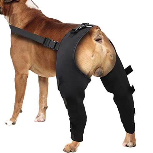 Dog Hip Brace, Adjustable Legs Protector Supporter, Rear Legs Support for Injury and Wound Protection