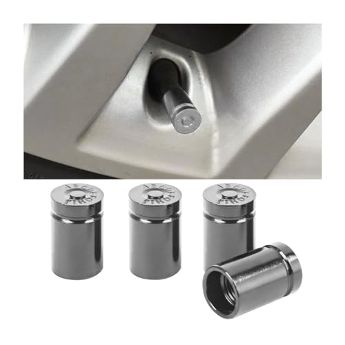 JNNJ 4 Piezas Tapas De Válvula, Tapas De Vástago De Válvula Neumático Aluminio, Bullet Shell Estilo Rueda Válvula Neumático Stem Caps, para Coche, para Automóviles Camiones Bicicletas(Gris)