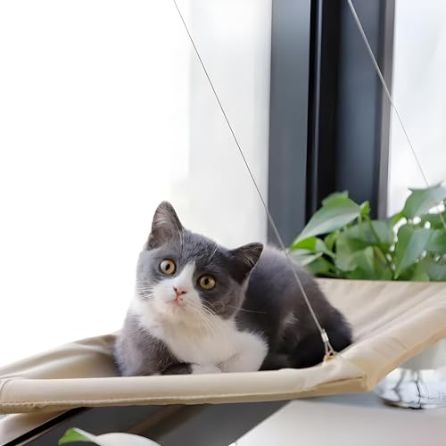 Hamaca para Gato - Cama de Gatito Colgante con Ventosa para Ventana- Cama Transpirable y Confortable para Mascota