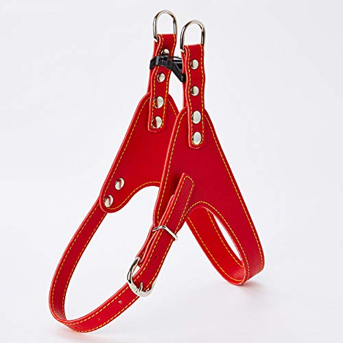 �y�e�B�I (Petio) Porta �|���^ �\�t�g���U�[�x�X�g�n�[�l�X ���b�h �� SS �T�C�Y