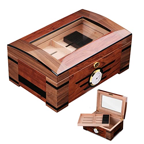 borfieon Divisor de Cedro...