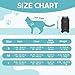 Avont Cat Recovery Suit - Kitten Onesie for Cats After Surgery, Cone of Shame Alternative Surgical Spay Suit for Female Cat, Post-Surgery or Skin Diseases Protection -Darkgrey(M)