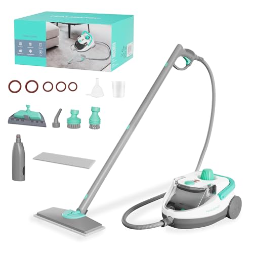 HAUSHOF Steam Cleaner, 1500W Powerful Steam Cleaner for Home with 19 Accessories & 51Oz Water Tank, Chemical-Free Multipurpose Portable Steambot for Floor, Tile, Grout, Couch, Window & Car