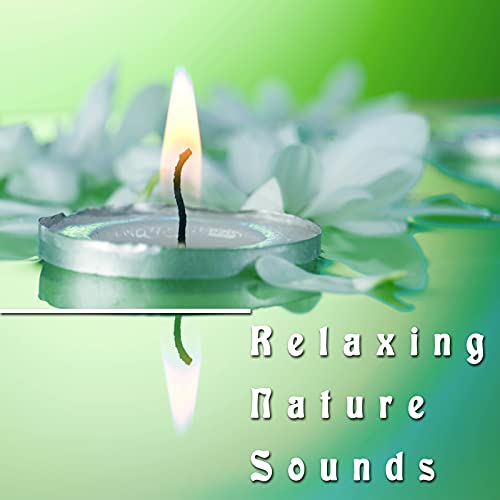 Relaxing Nature Sounds Listen to the Best Relaxing Sounds