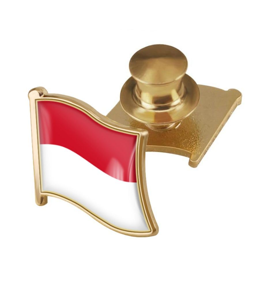 vmcoatdu Country Flag Backs Locking Pin Keepers Locking Clasp Pin Badge International Travel Brooch Metal Alloy Souvenir Pin 0.75x0.7 Inch Small Pin